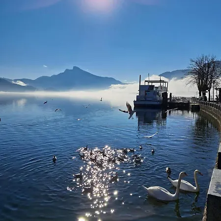 아파트 Ruheplatzerl